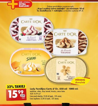 Biedronka Lody Familijne Carte d'Or, 850 ml - 1000 ml oferta