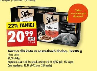 Biedronka Karma dla kota w saszetkach Sheba, 12x85 g oferta