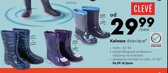 Biedronka Kalosze rozm. 26-30 oferta