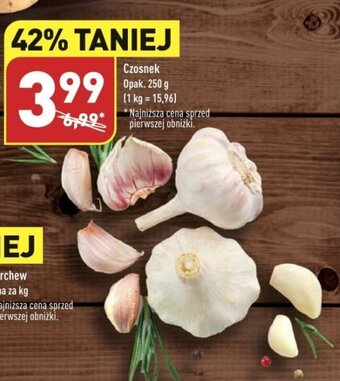 ALDI Czosnek Opak. 250 g oferta