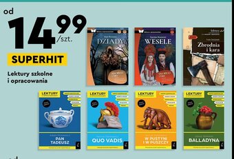 Biedronka Zbrodnia i kara oferta