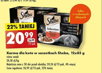Biedronka Karma dla kota z indykiem oferta
