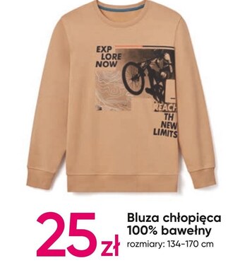 Pepco Bluza chłopięca oferta