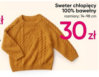 Pepco Sweter chłopięcy oferta