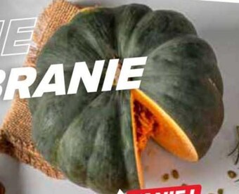 Carrefour Dynia oferta