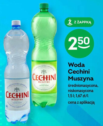 Żabka Woda Cechini Muszyna 1,5 l oferta