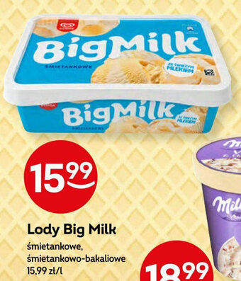 Żabka Lody Big Milk 1 l oferta