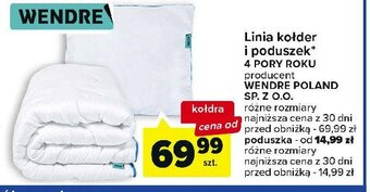 Carrefour Poduszka 4 pory roku wym. 50 x 50 cm oferta