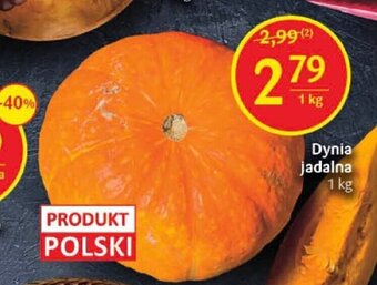Delikatesy Centrum Dynia jadalna 1kg oferta