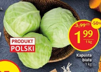 Delikatesy Centrum Kapusta biała 1 kg oferta