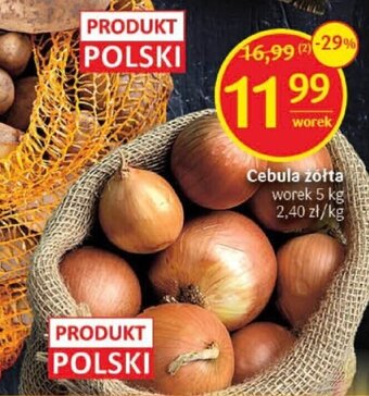 Cebula żółta 5 kg