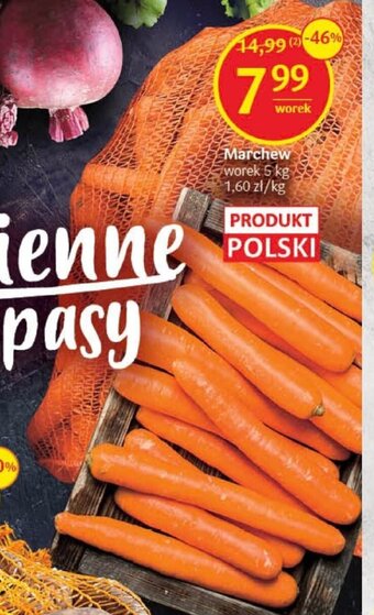 Delikatesy Centrum Marchew 5 kg oferta