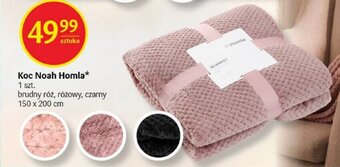 Delikatesy Centrum Koc Noah Homla 150x200cm oferta