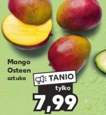 Kaufland Mango Osteen oferta