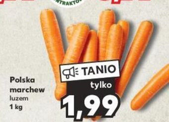 Kaufland Polska marchew 1 kg oferta