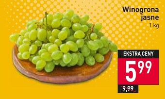 Stokrotka Market Winogrona oferta