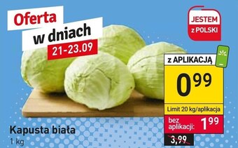 Stokrotka Kapusta biała oferta
