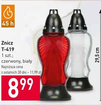 Stokrotka Znicz oferta