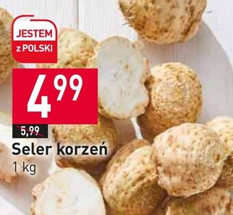 Stokrotka Market Seler oferta
