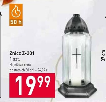 Stokrotka Znicz oferta