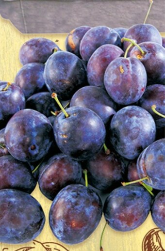 Auchan Śliwki oferta