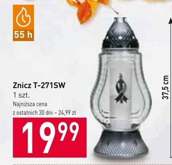 Stokrotka Market Znicz oferta