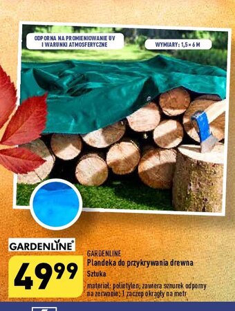 ALDI Plandeka do przykrycia drewna 1.5 x 6 m oferta