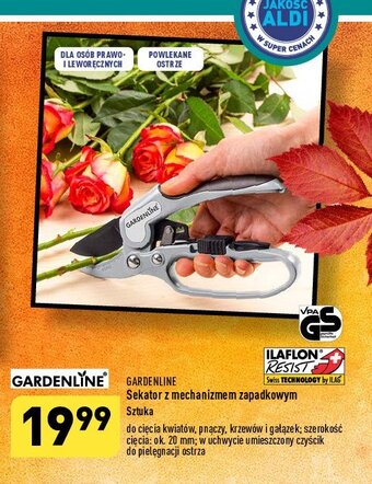 ALDI Sekator zapadkowy oferta