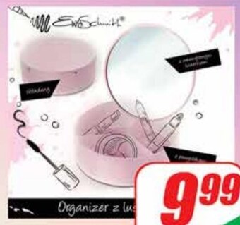 Dino Organizer oferta