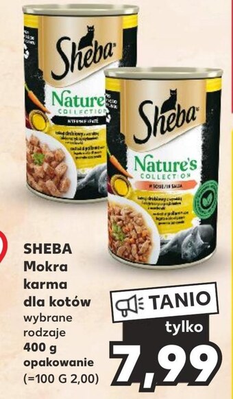 Kaufland Karma dla kota sheba oferta