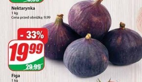 Dino Figa oferta