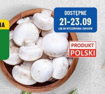 Polomarket Pieczarki oferta