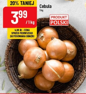 Polomarket Cebula oferta
