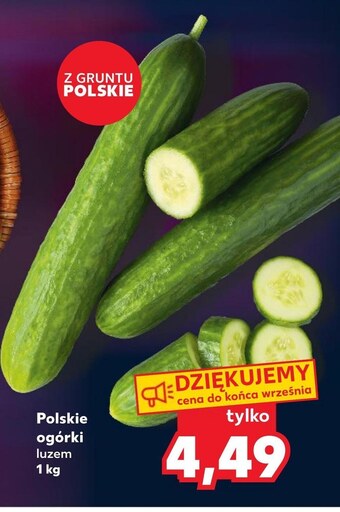 Kaufland Ogórek oferta