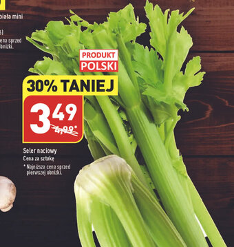 Seler naciowy sztuka