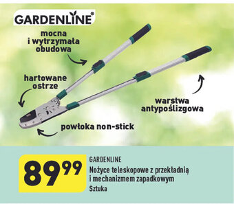 ALDI Nożyce teleskopowe z przekładnią i mechanizmem zapadkowym Sztuka oferta