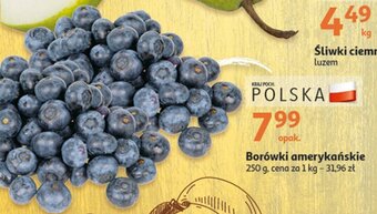 Auchan Borówki amerykańskie 250 g oferta