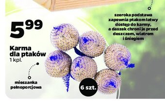 Netto Karma dla dzikich ptaków kuleczki tłuszczowe oferta