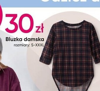 Pepco Bluzka damska s-3xl oferta