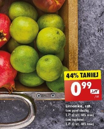 Biedronka Limonka szt. oferta