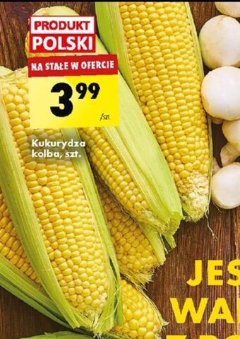 Biedronka Kukurydza kolba szt. oferta