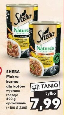 Kaufland Karma dla kota w sosie z kurczakiem oferta