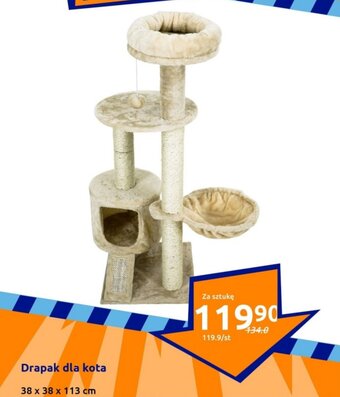 Action Drapak dla kota 38x38x113cm oferta