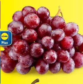 Lidl Winogrona oferta