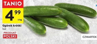 Intermarche Ogórek oferta