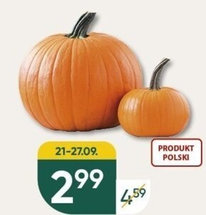 Chata Polska Dynia oferta