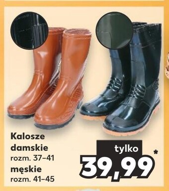 Kaufland Kalosze oferta