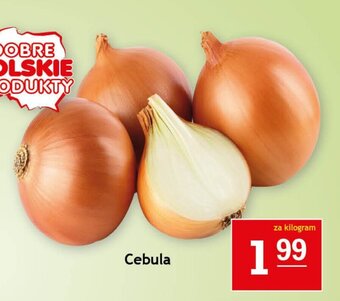 Gram Market Cebula 1 kg oferta