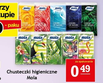 Gram Market Chusteczki higieniczne Mola oferta