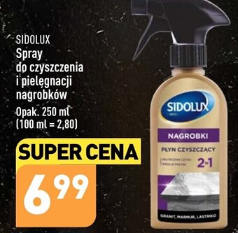 ALDI SIDOLUX Spray do czyszczenia i pielęgnacji nagrobków 250 ml oferta